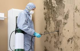 Best Mold Odor Removal Services  in Garner, NC